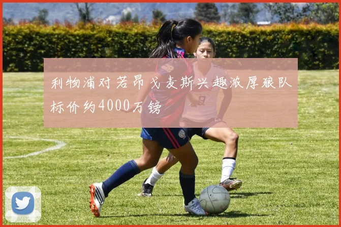 利物浦对若昂戈麦斯兴趣浓厚狼队标价约4000万镑