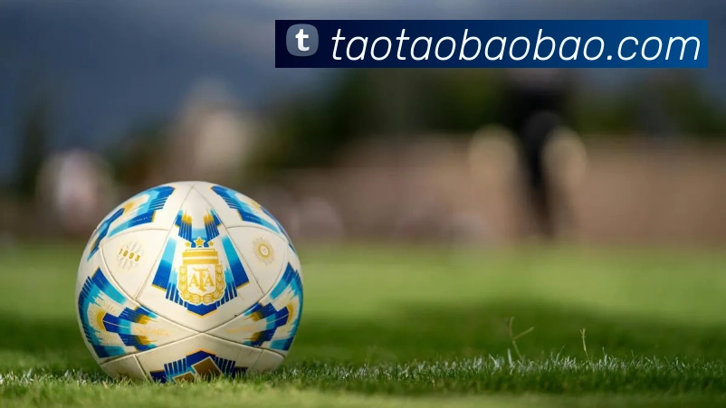 华体会体育平台生态图